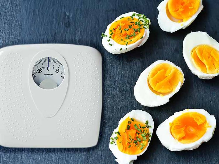 Diet Telur Untuk Menurunkan Berat Badan